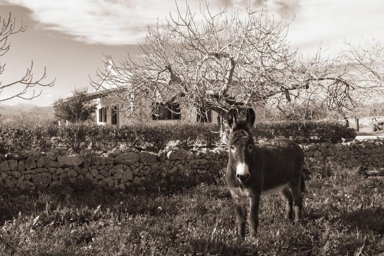 155 Finca Son Rossignol By Mallorca Charme Sineu  Esterno foto