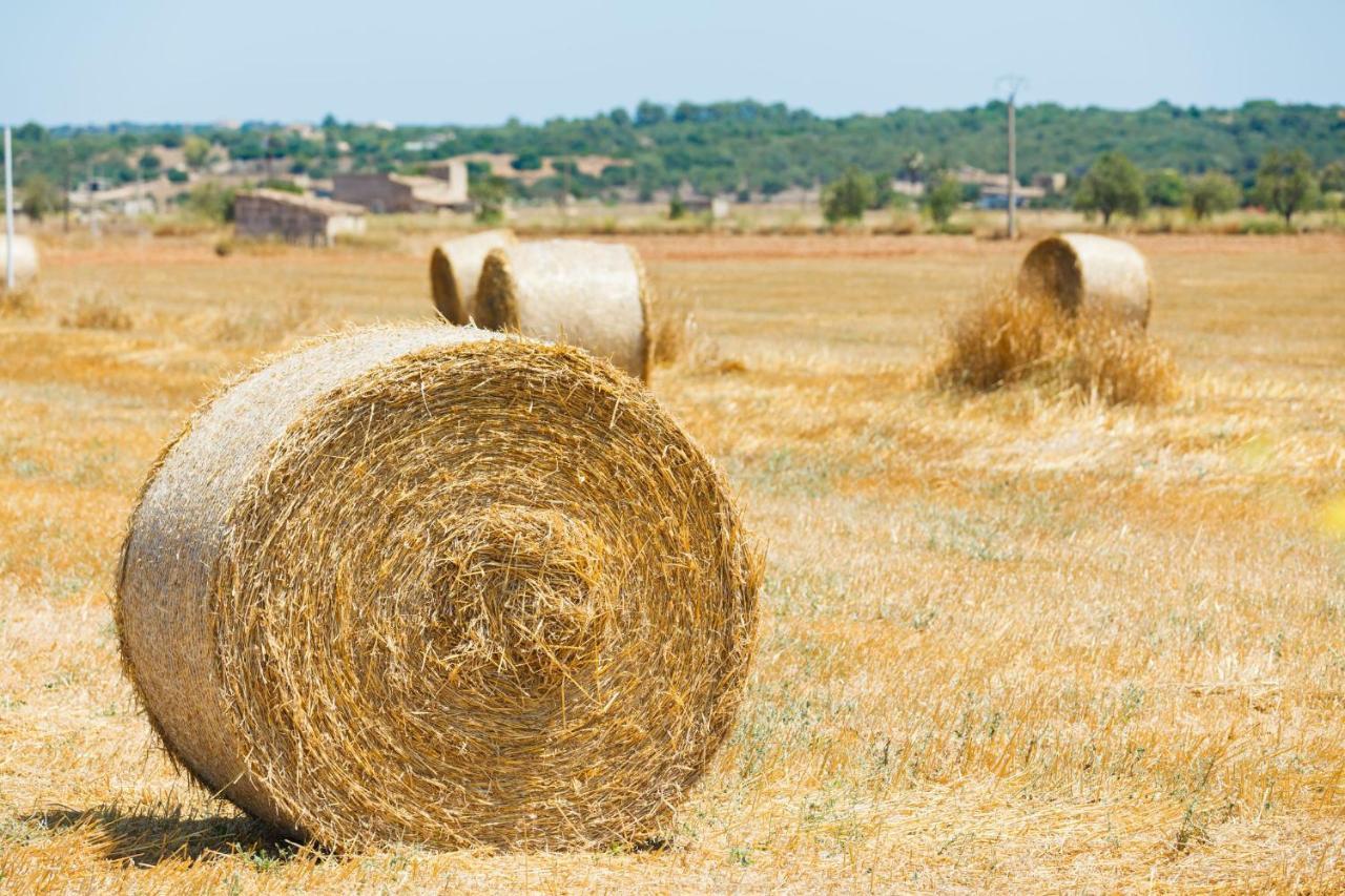 155 Finca Son Rossignol By Mallorca Charme Sineu  Esterno foto