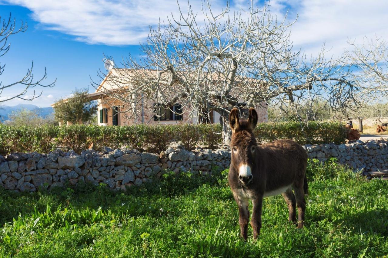 155 Finca Son Rossignol By Mallorca Charme Sineu  Esterno foto